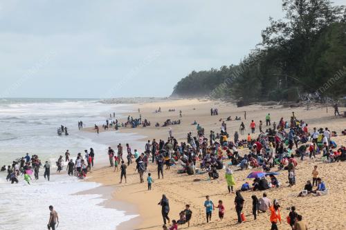 KERANG TERDAMPAR DI PANTAI