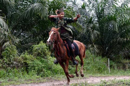 TR06_15112018_KUDA_MEMANAH_BN201808055000