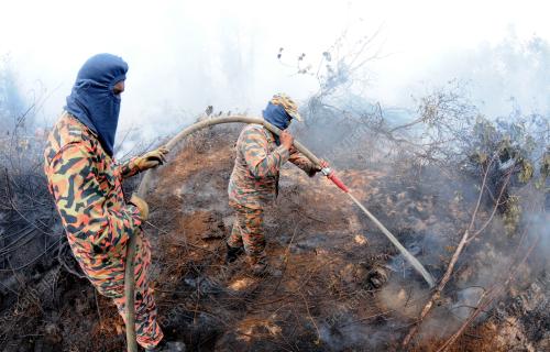 TR06_16022014_HUTAN_TERBAKAR