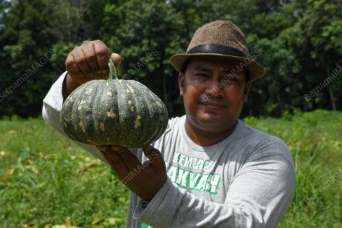 USAHAWAN TANI