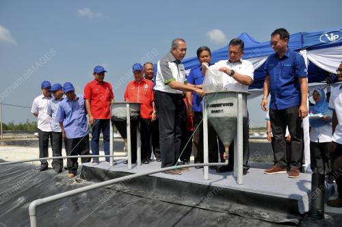 TR06_18022018_MB_UDANG