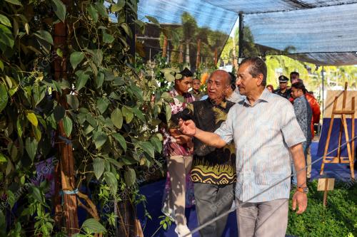 SULTAN MIZAN ZAINAL ABIDIN