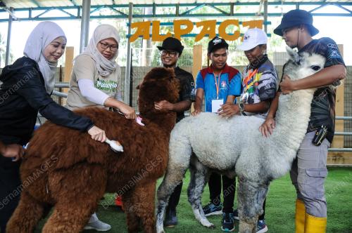 PROGRAM RIMBA EXPLORERS