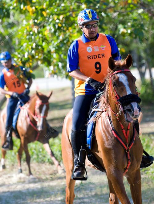 TR06_19022011_AGONG_ENDURANCE