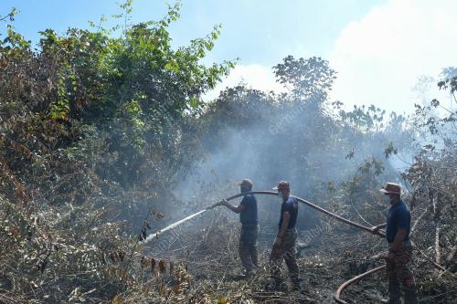 TR06_19032019_KEBAKARAN_HUTAN