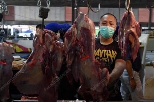 HARGA DAGING