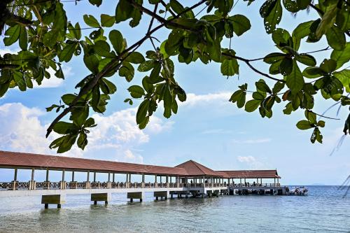PULAU BIDONG