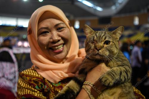 TR06_20072019_KUCING_BN201907175469