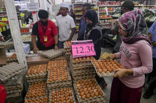 TINJAUAN BEKALAN TELUR AYAM