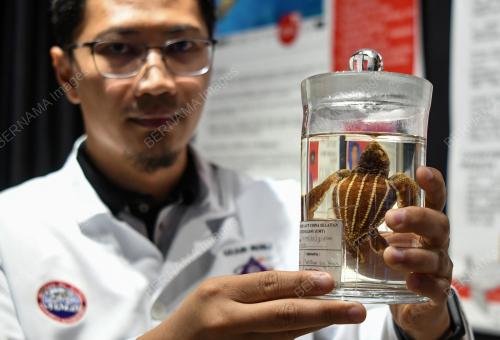 DR MOHD UZAIR RUSLI