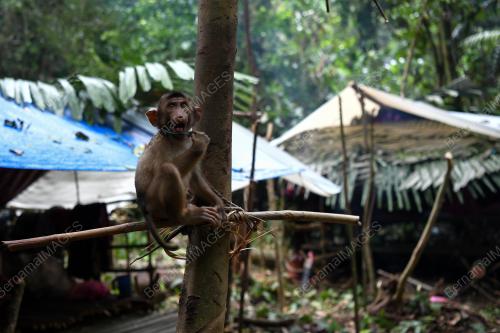 TR06_21062019_ORANG_ASLI_BN201906202605