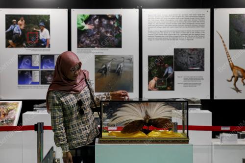 PAMERAN ALAM HAIWAN