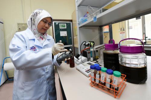 PROF DR WAN IRYANI WAN ISMAIL