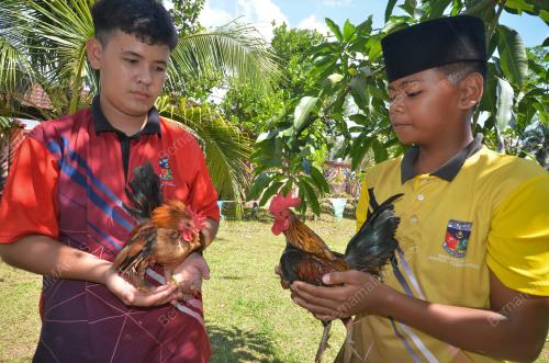 PESONA_BUDAYA