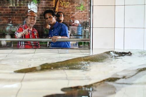 PERIKANAN NEGERI TERENGGANU