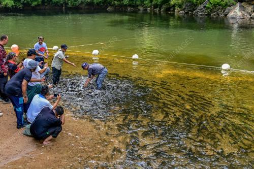 SANTUARI KELAH TASIK KENYIR