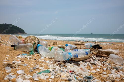PROJEK PEMULIHARAAN PENYU CHAKAR HUTAN