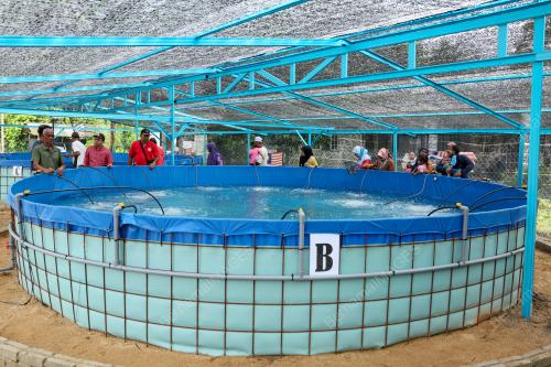 PROJEK TERNAK IKAN SEJATI MADANI