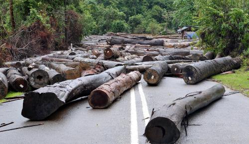 TR06_28122014_BANJIR