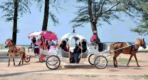 TR06_30052012_KERETA_KUDA