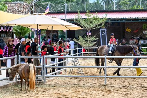 ZOO RIMBA RAZIA