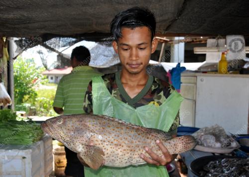 PENIAGA KAMPUNG