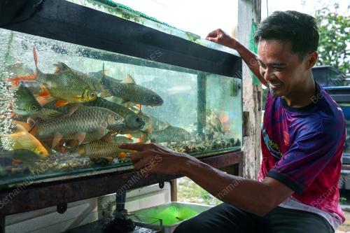 MOHD ELMIE FARIESA SAZALI
