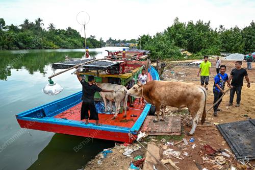 LEMBU_BOT