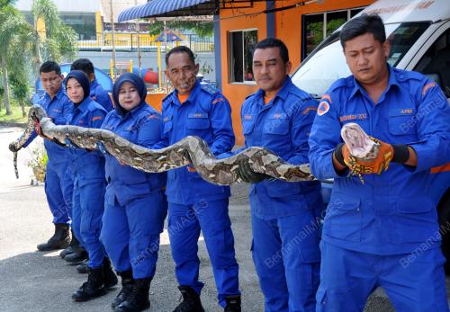TR07_06072019_JPAM_BESUT