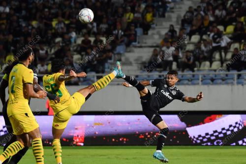PIALA FA
