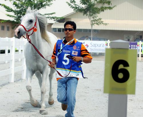 KEJOHANAN KUDA LASAK WEC 2008
