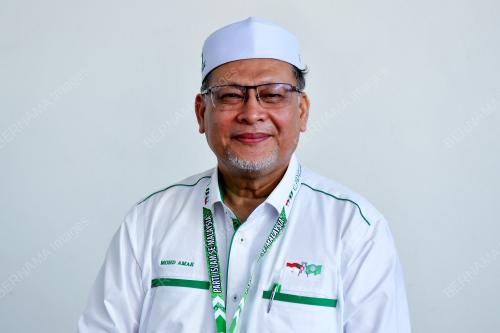 DATUK MOHD AMAR NIK ABDULLAH