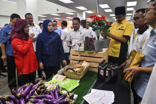 DATUK SERI DR NORAINI AHMAD