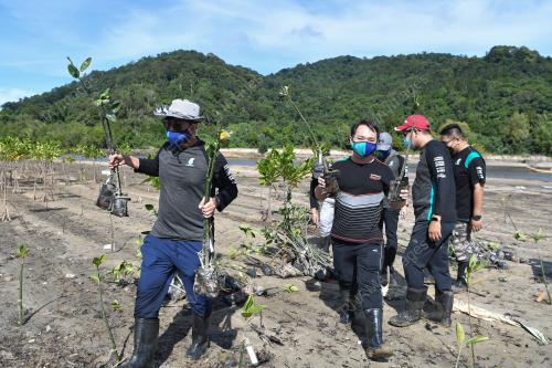 PETRONAS_POKOK BAKAU