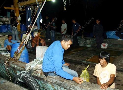 OPERASI CAMAR OCTOPUS
