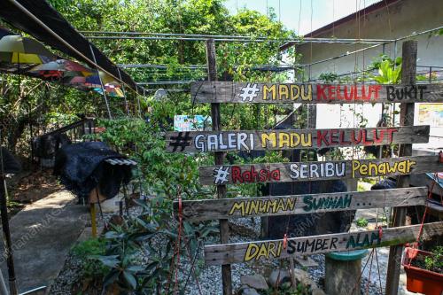 MADU KELULUT BUKIT