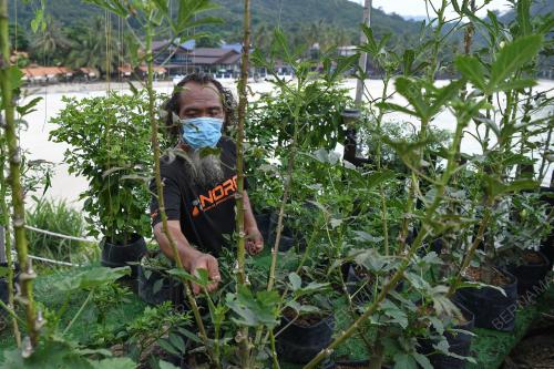 TR07_11082021_REDANG_SAYUR