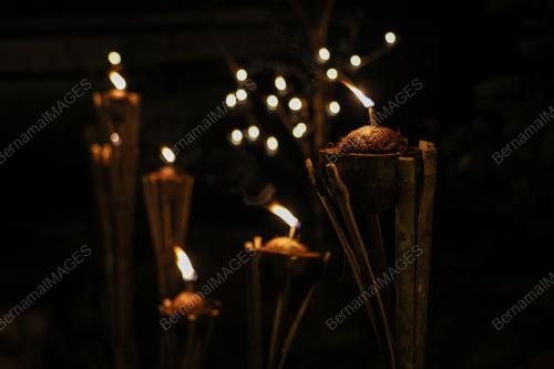 PELITA NYOR