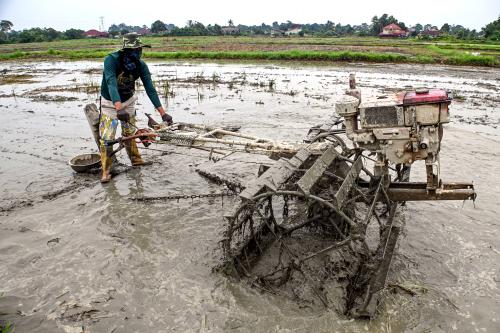 TINJAUAN AKTIVITI PESAWAH