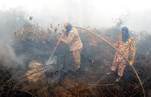 TR07_16022014_HUTAN_TERBAKAR