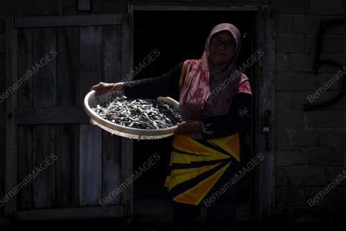 IKAN BILIS
