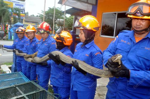 RAMLAN ROS WAHID