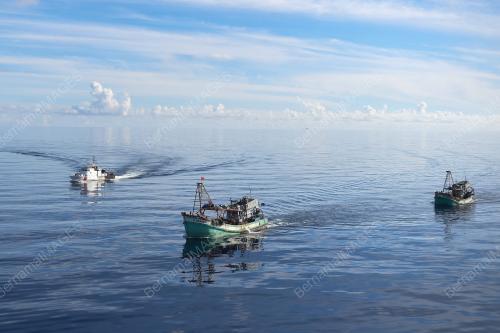 AGENSI PENGUATKUASAAN MARITIM MALAYSIA