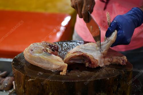 HARGA AYAM