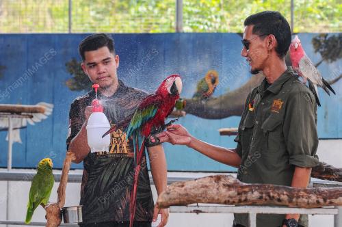 TINJAUAN CUACA PANAS