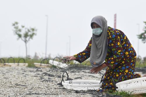 TR07_19092019_JEREBU_TERENGGANU