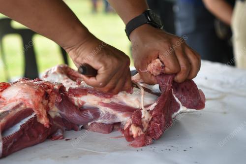 IBADAH KORBAN AIDILADHA