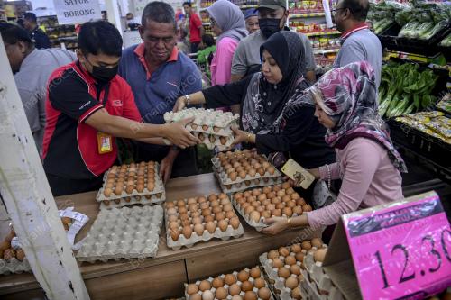 TINJAUAN BEKALAN TELUR AYAM