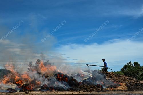 PEMPROSESAN SABUT KELAPA