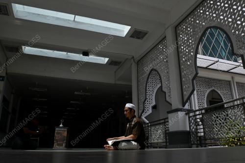 GOLONGAN OKU BERTADARUS